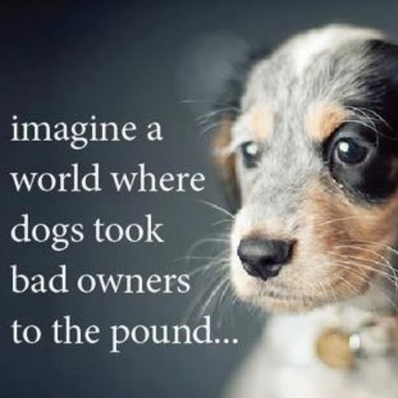 Meet your Posher, Marsha - Picture 1 of 2